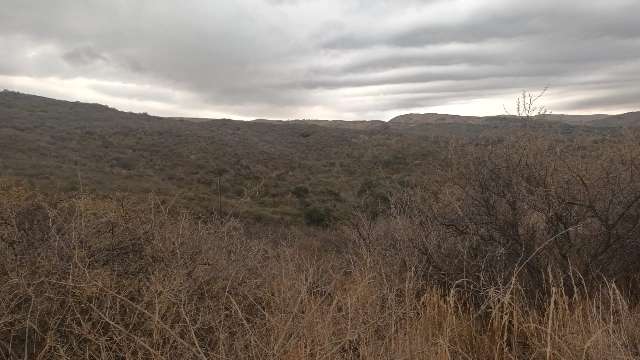 Camino a Casas Viejas. Agua de Oro - Cordoba 