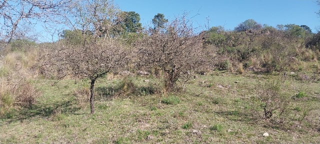 Camino Casas Viejas, pasando El Algodnal, de Agua de Oro - Córdoba 